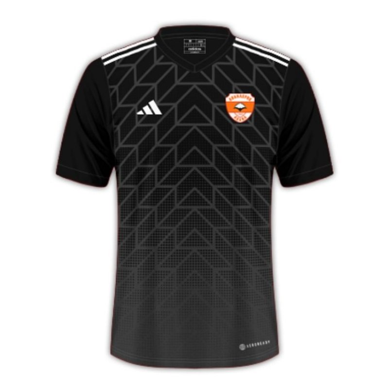 Adanaspor 24/25 Third Football Jersey