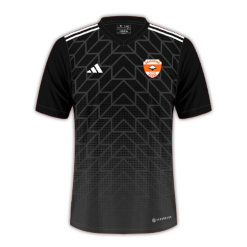 Adanaspor 24/25 Third Football Jersey