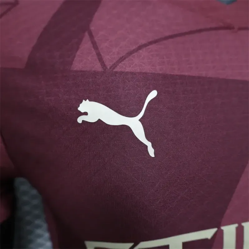 Player Version Manchester City Third Jersey 24/25 Football Jersey
